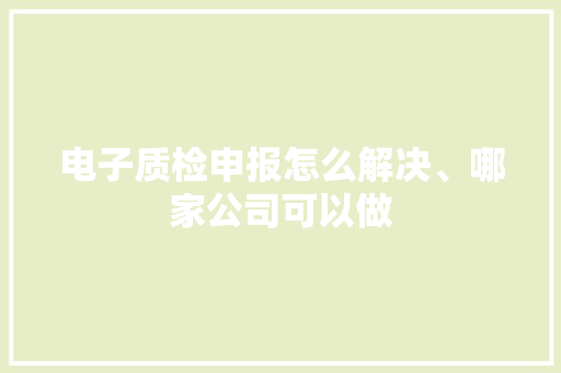电子质检申报怎么解决、哪家公司可以做