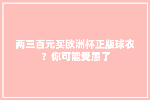 两三百元买欧洲杯正版球衣？你可能受愚了