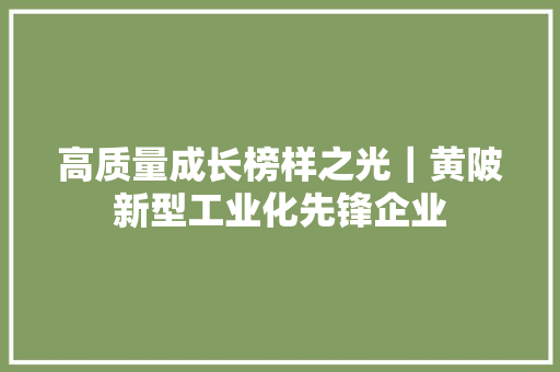 高质量成长榜样之光｜黄陂新型工业化先锋企业