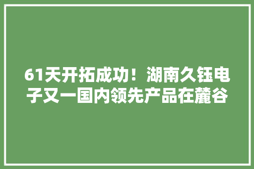 61天开拓成功！湖南久钰电子又一国内领先产品在麓谷科创园宣告