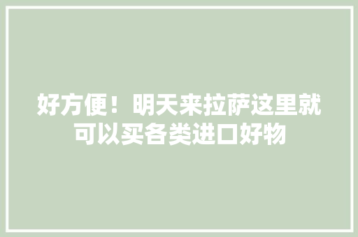 好方便！明天来拉萨这里就可以买各类进口好物