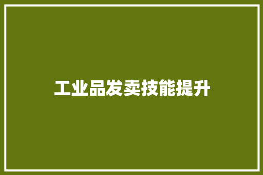工业品发卖技能提升
