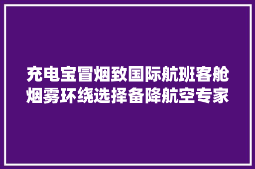充电宝冒烟致国际航班客舱烟雾环绕选择备降航空专家提醒：登机携带充电宝有功率数量要求