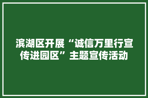 滨湖区开展“诚信万里行宣传进园区”主题宣传活动