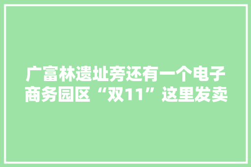 广富林遗址旁还有一个电子商务园区“双11”这里发卖额破亿