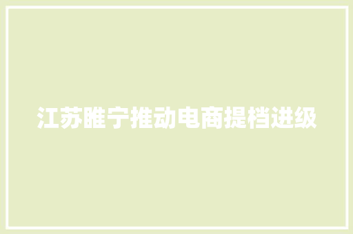 江苏睢宁推动电商提档进级