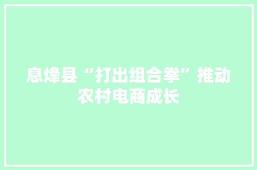 息烽县“打出组合拳”推动农村电商成长