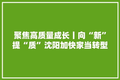 聚焦高质量成长丨向“新”提“质”沈阳加快家当转型 老工业基地“焕新颜” 聚焦高质量成长丨向“新”提“质”沈阳加快家当转型 老工业基地“焕新颜” 人工智能
