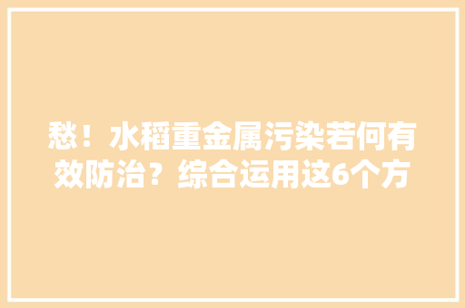 愁！水稻重金属污染若何有效防治？综合运用这6个方法可治理