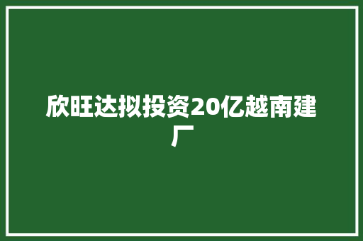 欣旺达拟投资20亿越南建厂