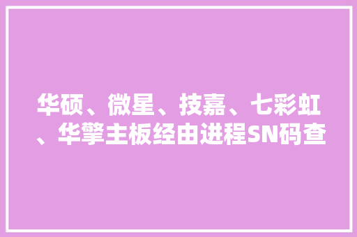 华硕、微星、技嘉、七彩虹、华擎主板经由进程SN码查看出厂日期的方法