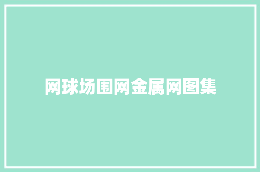 网球场围网金属网图集 网球场围网金属网图集 智能科技