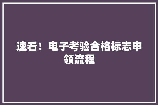 速看！电子考验合格标志申领流程