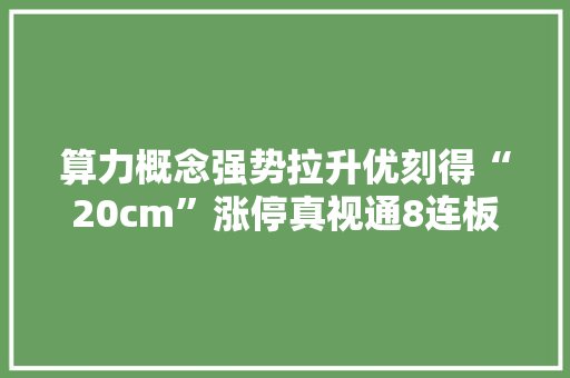 算力概念强势拉升优刻得“20cm”涨停真视通8连板