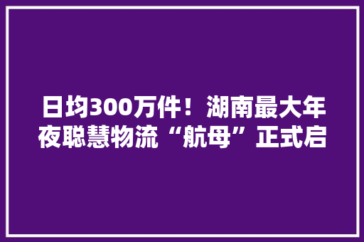 日均300万件！湖南最大年夜聪慧物流“航母”正式启用