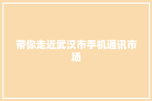 带你走近武汉市手机通讯市场