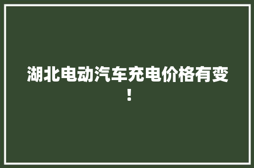 湖北电动汽车充电价格有变！ 湖北电动汽车充电价格有变！ 人工智能