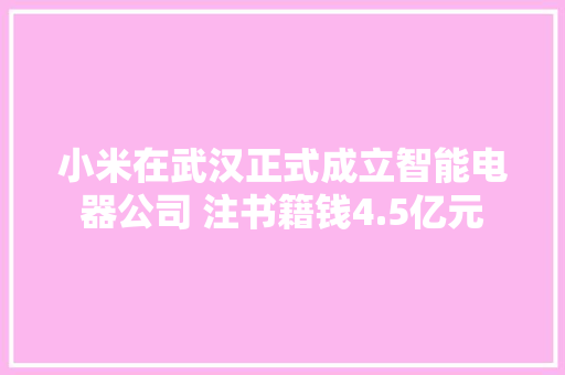 小米在武汉正式成立智能电器公司 注书籍钱4.5亿元