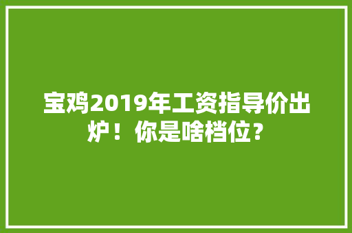宝鸡2019年工资指导价出炉！你是啥档位？