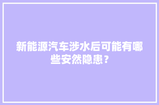 新能源汽车涉水后可能有哪些安然隐患？