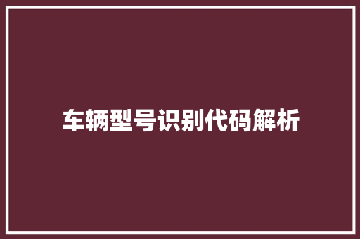 车辆型号识别代码解析