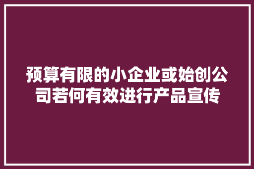 预算有限的小企业或始创公司若何有效进行产品宣传