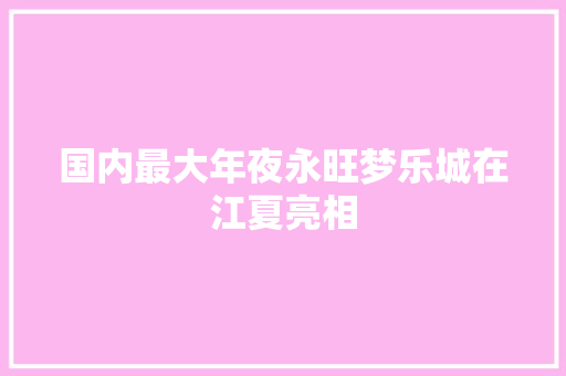 国内最大年夜永旺梦乐城在江夏亮相