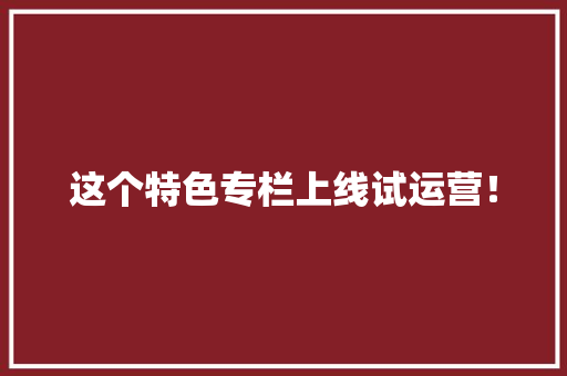 这个特色专栏上线试运营！ 这个特色专栏上线试运营！ 智能科技