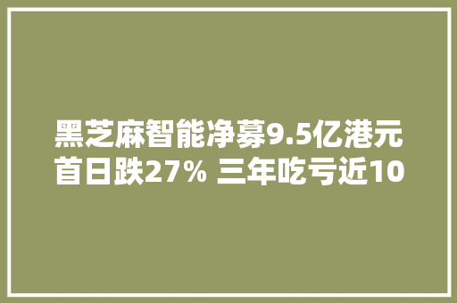 黑芝麻智能净募9.5亿港元首日跌27% 三年吃亏近100亿