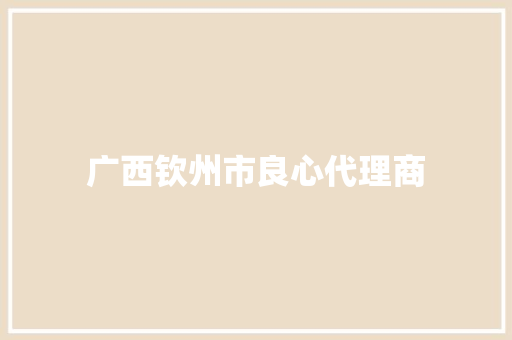 广西钦州市良心代理商