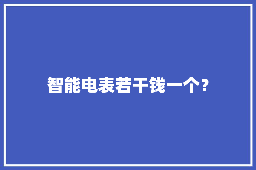 智能电表若干钱一个？