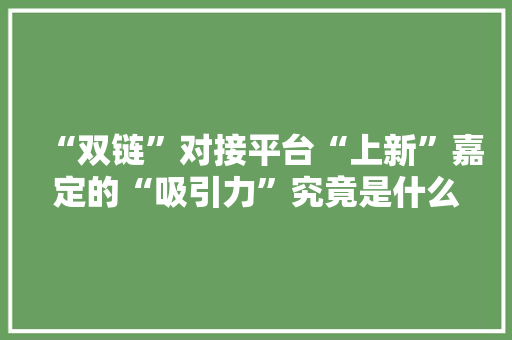 “双链”对接平台“上新”嘉定的“吸引力”究竟是什么？