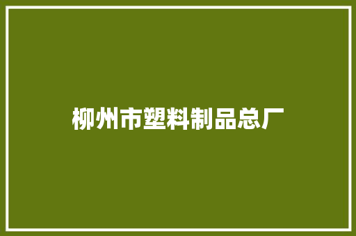 柳州市塑料制品总厂