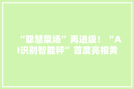 “聪慧菜场”再进级！“AI识别智能秤”首度亮相黄浦→