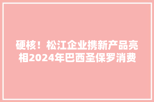 硬核！松江企业携新产品亮相2024年巴西圣保罗消费电子展