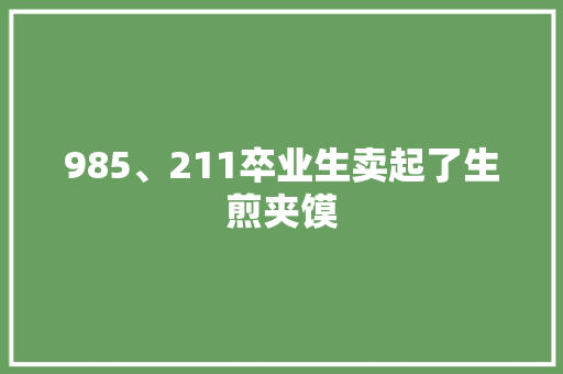 985、211卒业生卖起了生煎夹馍