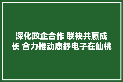 深化政企合作 联袂共赢成长 合力推动康舒电子在仙桃成长壮大 深化政企合作 联袂共赢成长 合力推动康舒电子在仙桃成长壮大 人工智能
