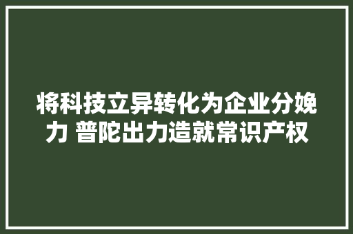 将科技立异转化为企业分娩力 普陀出力造就常识产权骨干企业