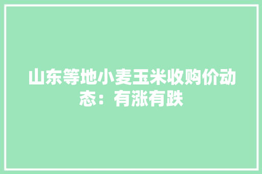 山东等地小麦玉米收购价动态：有涨有跌