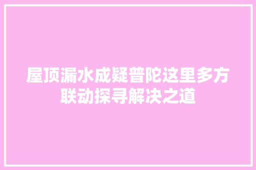 屋顶漏水成疑普陀这里多方联动探寻解决之道