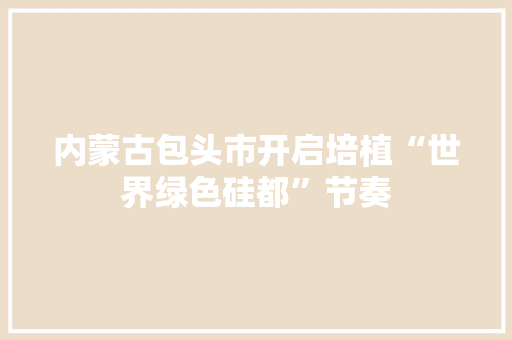 内蒙古包头市开启培植“世界绿色硅都”节奏