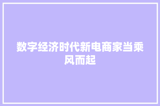 数字经济时代新电商家当乘风而起