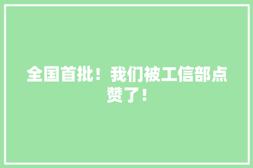全国首批！我们被工信部点赞了！