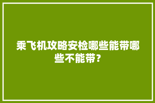乘飞机攻略安检哪些能带哪些不能带？ 乘飞机攻略安检哪些能带哪些不能带？ 互联通信