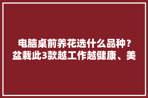 电脑桌前养花选什么品种？盆栽此3款越工作越健康、美丽 电脑桌前养花选什么品种？盆栽此3款越工作越健康、美丽 智能科技