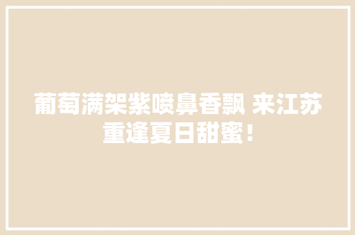 葡萄满架紫喷鼻香飘 来江苏重逢夏日甜蜜！ 葡萄满架紫喷鼻香飘 来江苏重逢夏日甜蜜！ 互联通信