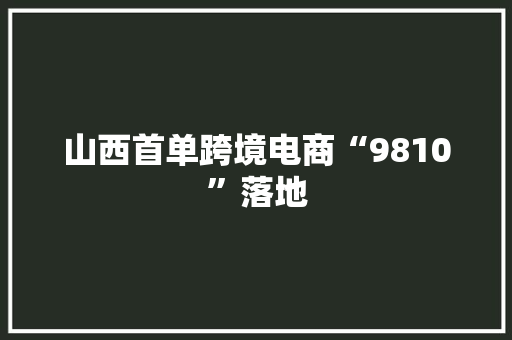 山西首单跨境电商“9810”落地 山西首单跨境电商“9810”落地 互联通信