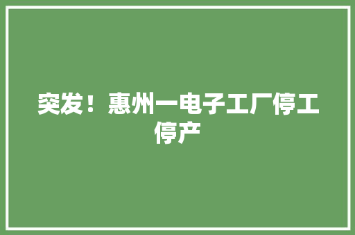 突发！惠州一电子工厂停工停产