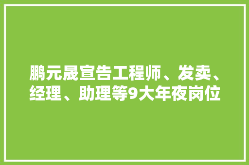 鹏元晟宣告工程师、发卖、经理、助理等9大年夜岗位招聘需求