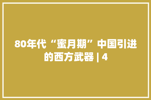 80年代“蜜月期”中国引进的西方武器 | 4